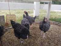 20180930_164448.jpg