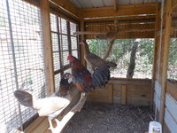 DSCN7327.JPG