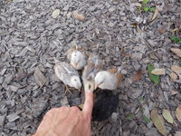 DSCN7324.JPG