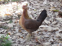 DSCN7379.JPG