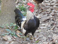 DSCN7382.JPG