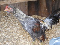 DSCN7386.JPG