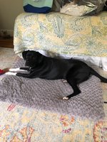 181001_033942_40.jpeg