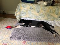 181001_033942_41.jpeg