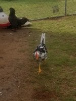 20181001_180410.jpg