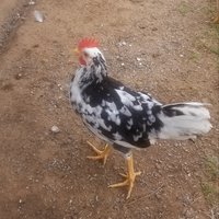 20181001_180445.jpg