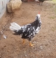 20181001_180543.jpg