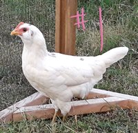 20181001_200744.jpg