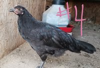 20181001_200629.jpg