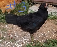 20181001_200849.jpg