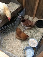 52668E4C-B480-4BC0-812A-66FD85F00E1F.jpeg