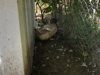 IMG_1696.jpg
