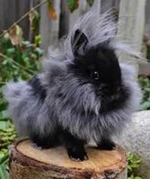 images(28).jpg