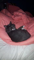 20181002_103142.jpg