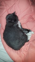 20181002_103213.jpg