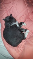 20181002_103231.jpg