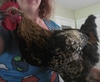 20181002_150001.jpg 20181002_150001.jpg