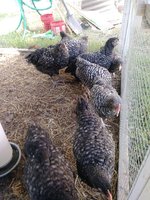 20181002_143157.jpg