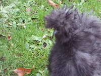 SUNP0073 - Copy.JPG
