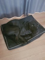 20181003_070059.jpg 20181003_070059.jpg
