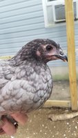 20181002_101329.jpg