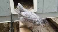 20180923_104607.jpg
