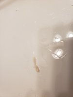 20181002_215451.jpg
