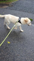 20181002_125438.jpg