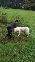 20181002_114536.jpg