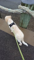 20181002_125106.jpg