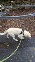 20181002_125605.jpg