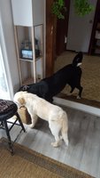 20181002_134551.jpg