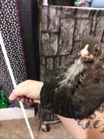 20181003_045949.jpg