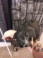 20181003_045916.jpg