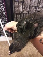 20181003_045912.jpg