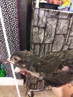 20181003_045909.jpg