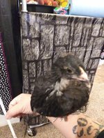 20181003_045851.jpg