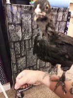 20181003_045834.jpg