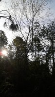 20181003_083009.jpg