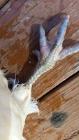 20181003_132638.jpg