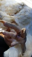 20181003_132614.jpg