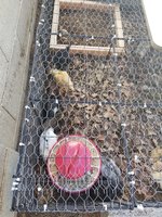 20181003_132646.jpg