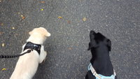20181003_124526.jpg