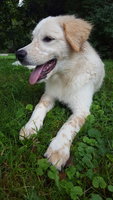 20181003_143941.jpg