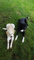 20181003_144144.jpg