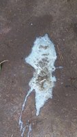 20181003_162451.jpg