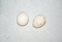 DSC07025.JPG