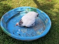 20181004_123935.jpg