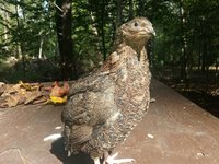 20181004_123535.jpg