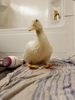 20180730_194651.jpg